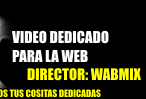 ver video