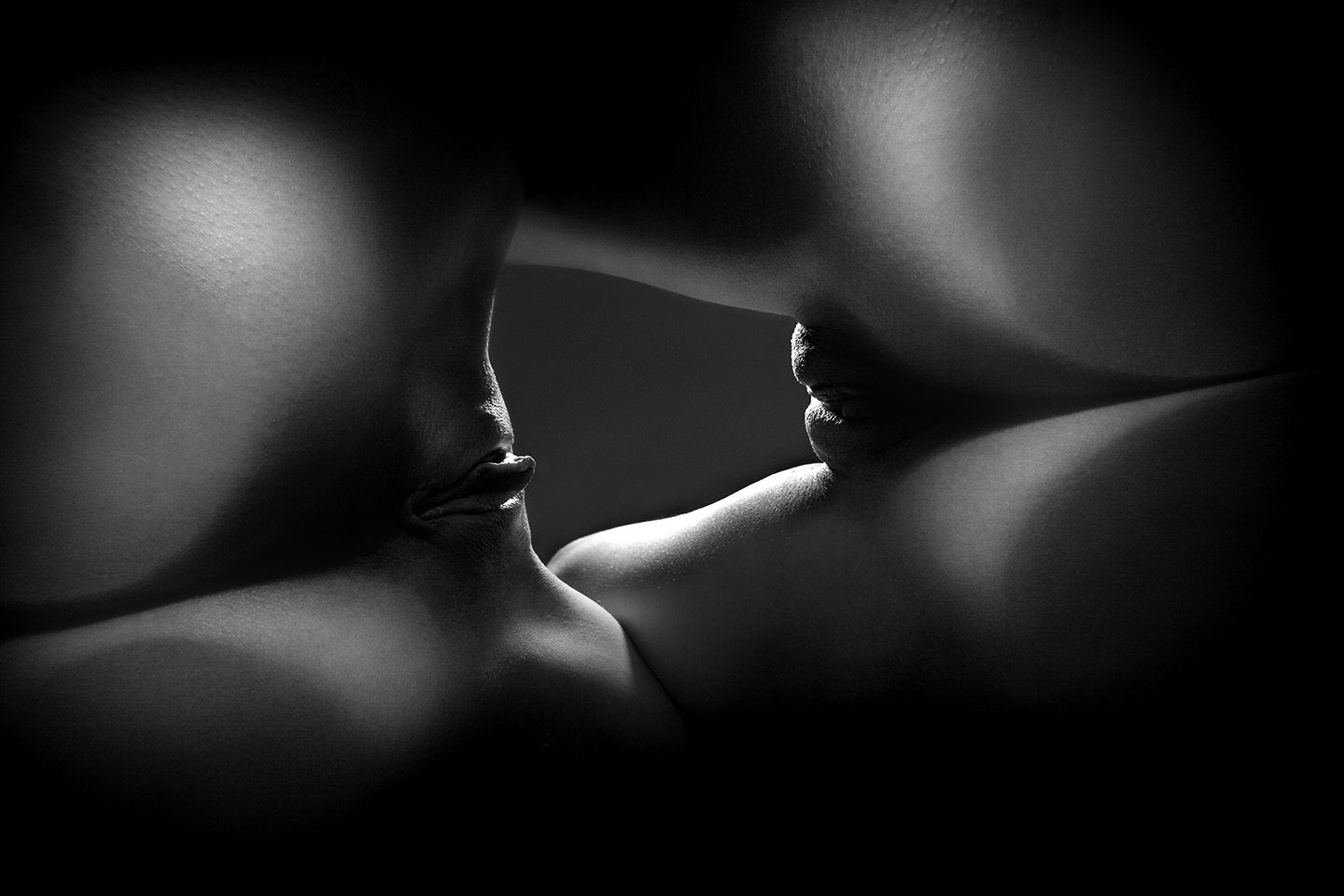 Black and white sexual art. 