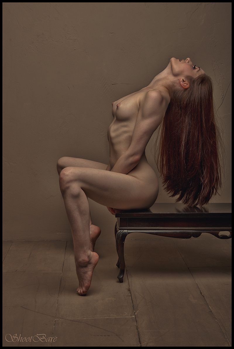 Donna Feldman Nude